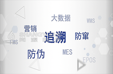 通用的防伪系统存在哪些不足之处？