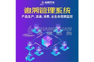 防伪系统